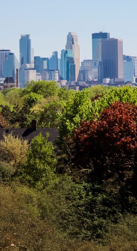view of the Minneapolis skyline during the spring on a sunny day